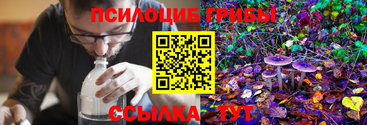 Галлюциногенные грибы GOLDEN TEACHER Тосно